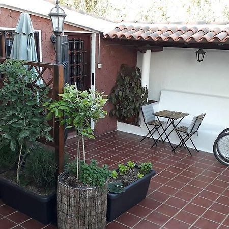 Apartamento Tranquilo En Una Casa Con Jardin La Laguna  Exterior foto