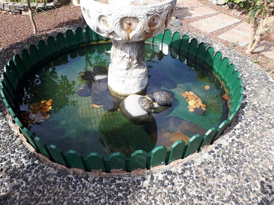 Apartamento Tranquilo En Una Casa Con Jardin La Laguna  Exterior foto