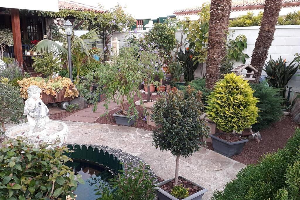 Apartamento Tranquilo En Una Casa Con Jardin La Laguna  Exterior foto