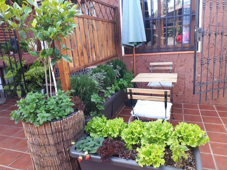 Apartamento Tranquilo En Una Casa Con Jardin La Laguna  Exterior foto