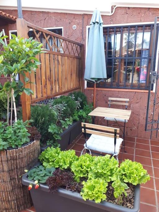 Apartamento Tranquilo En Una Casa Con Jardin La Laguna  Exterior foto